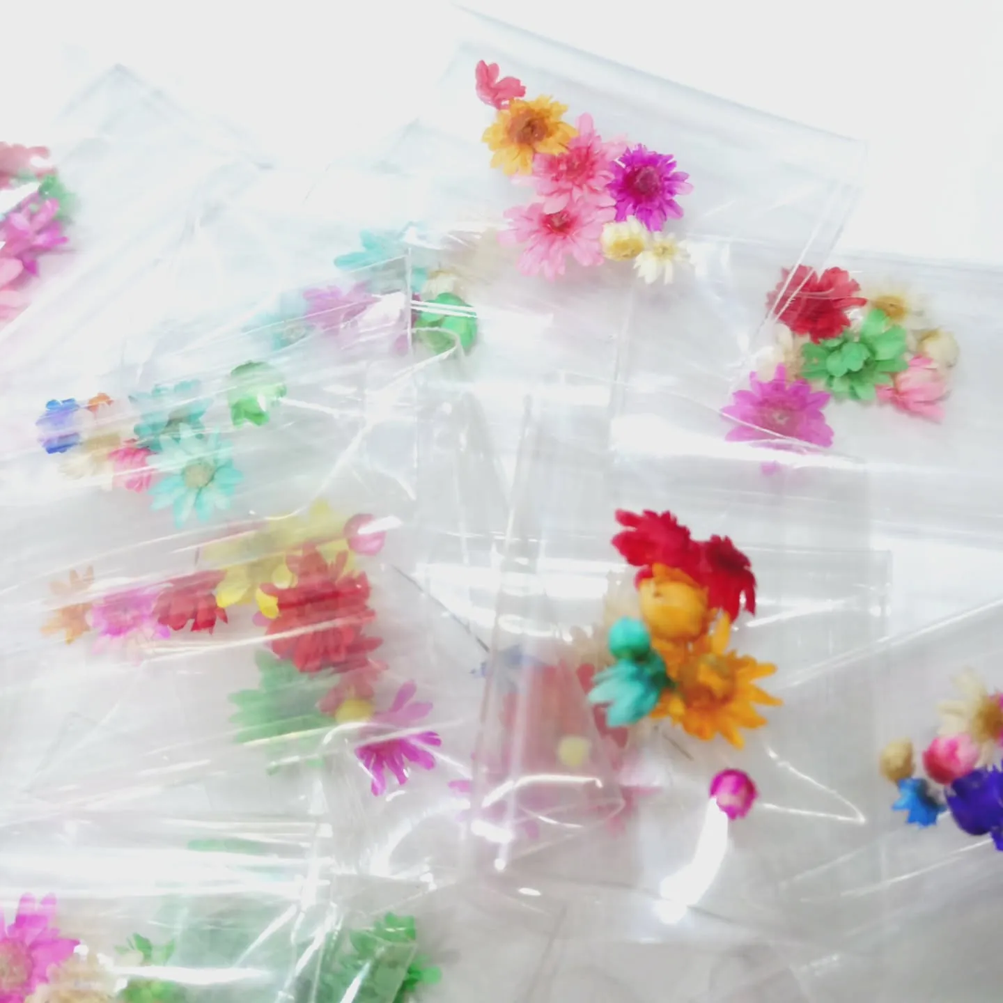 ドライフラワーのお花&蕾のセットを追加しました！