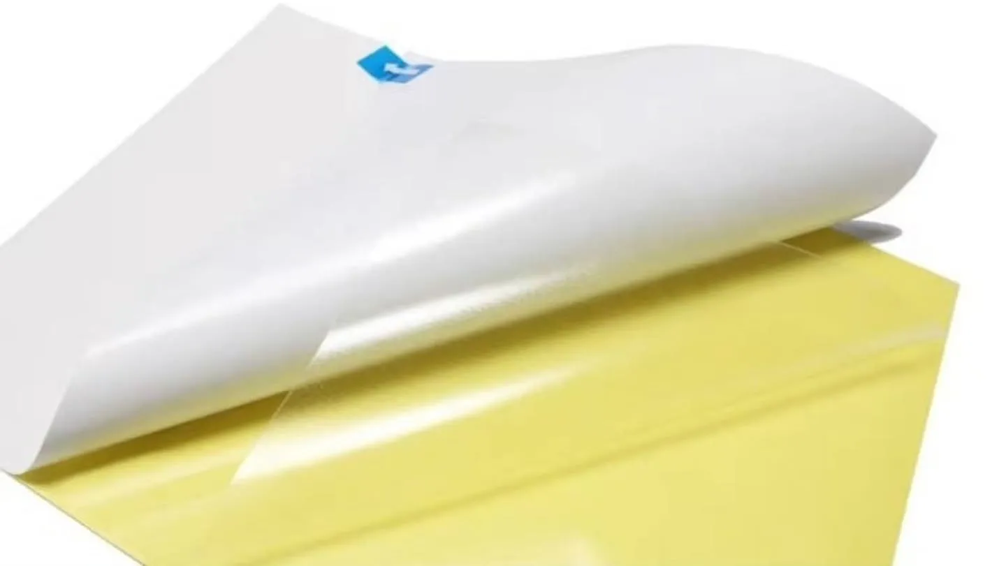 昨日アップしました、