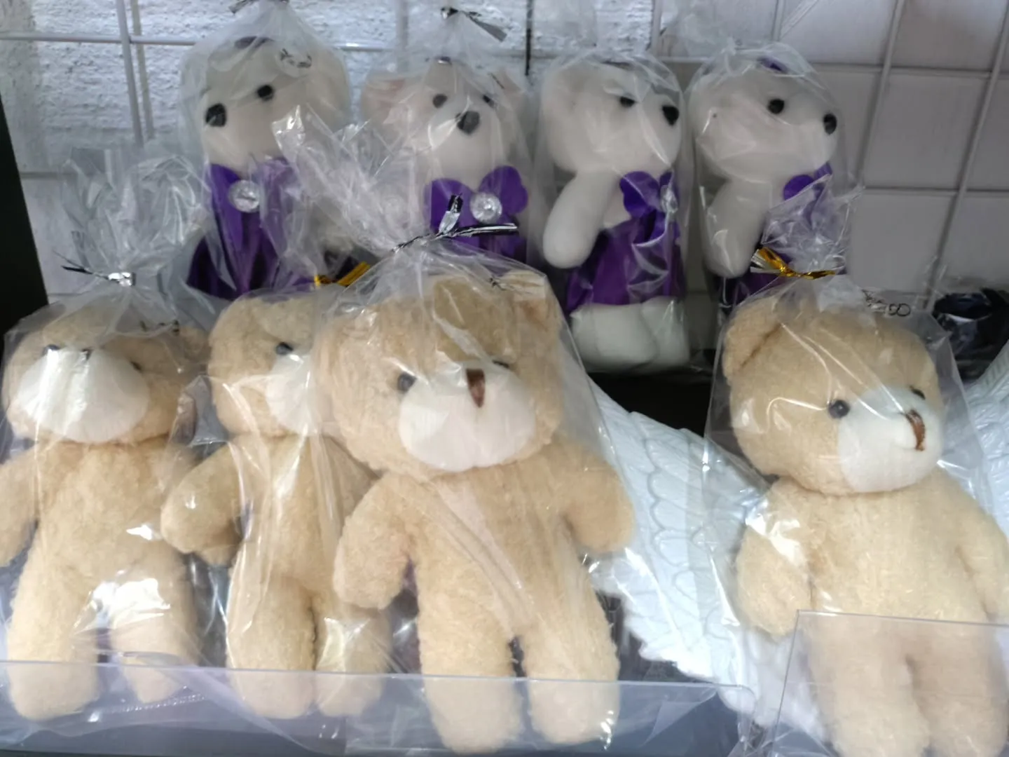 ぬいぐるみのくま🧸と発砲のくま後ろ側のが入荷しました！