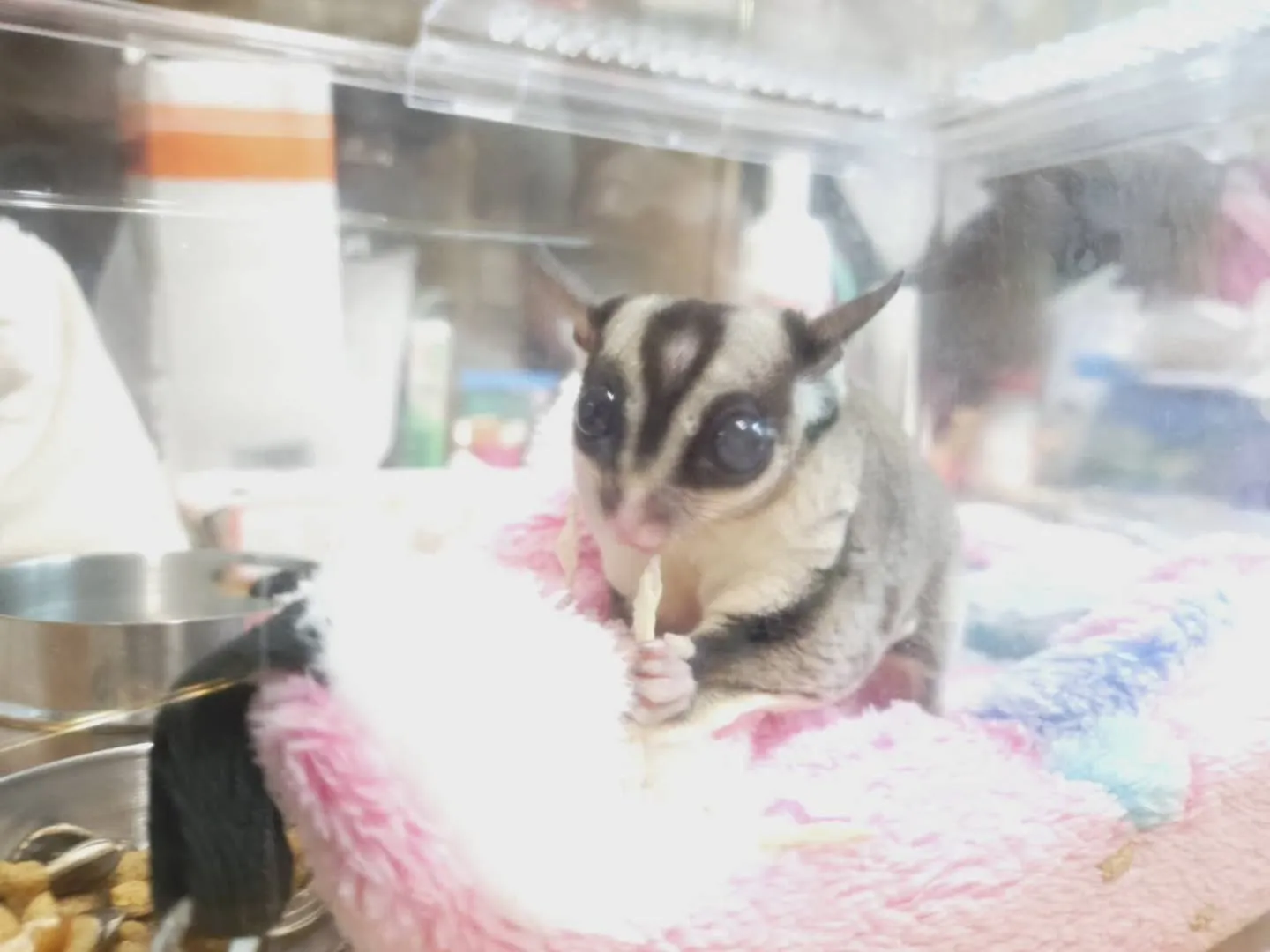 アッシュシルエットのオリジナルシートができました✨店頭にて販...