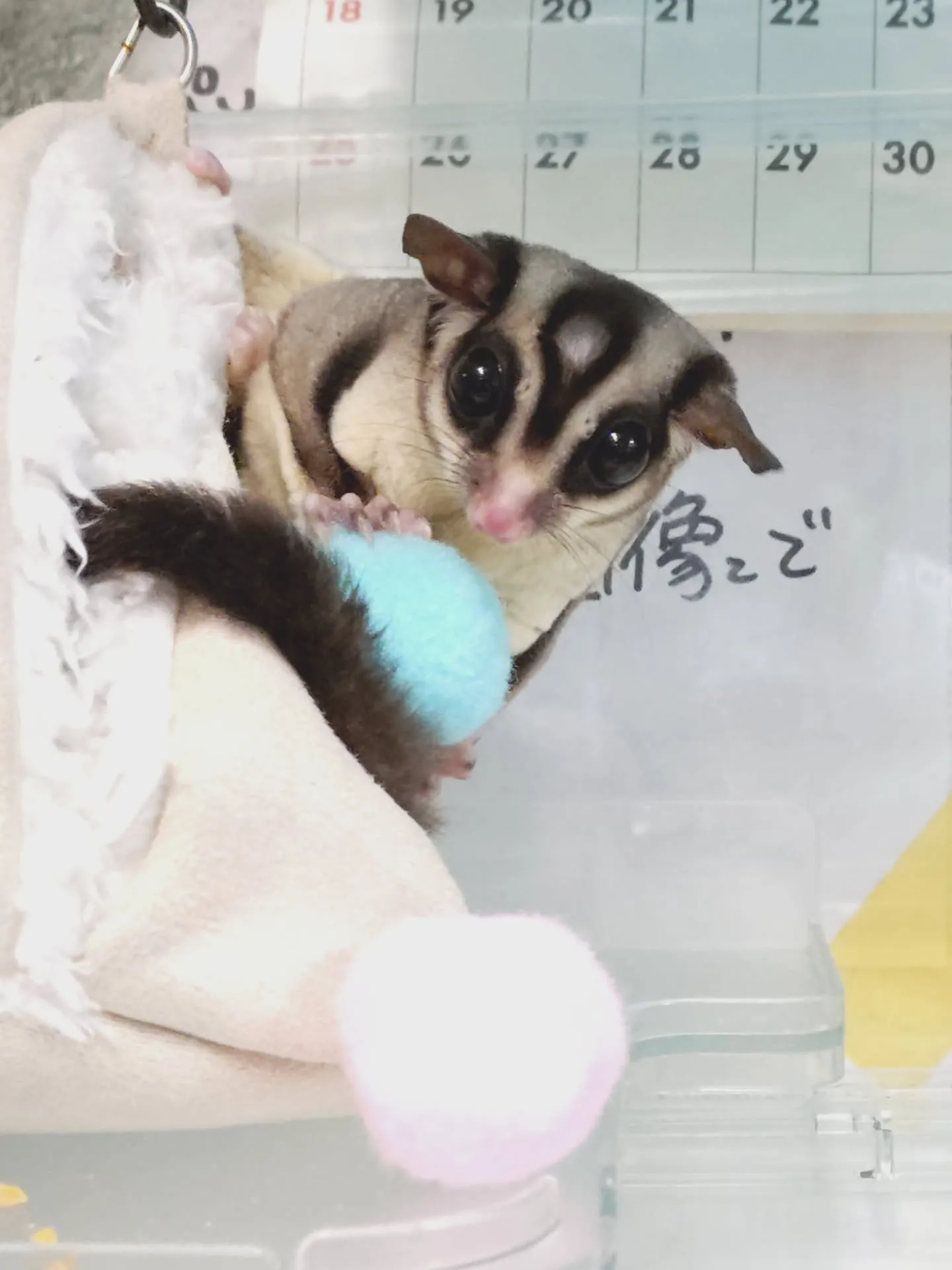 アッシュシルエットのオリジナルシートができました✨店頭にて販...