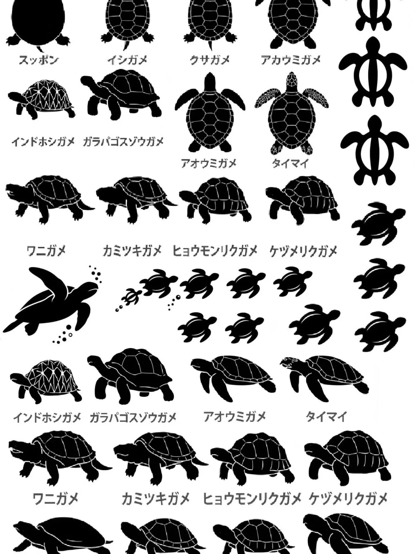 新たにカメとカメ·マンタのオリジナルシートを作りました！🐢