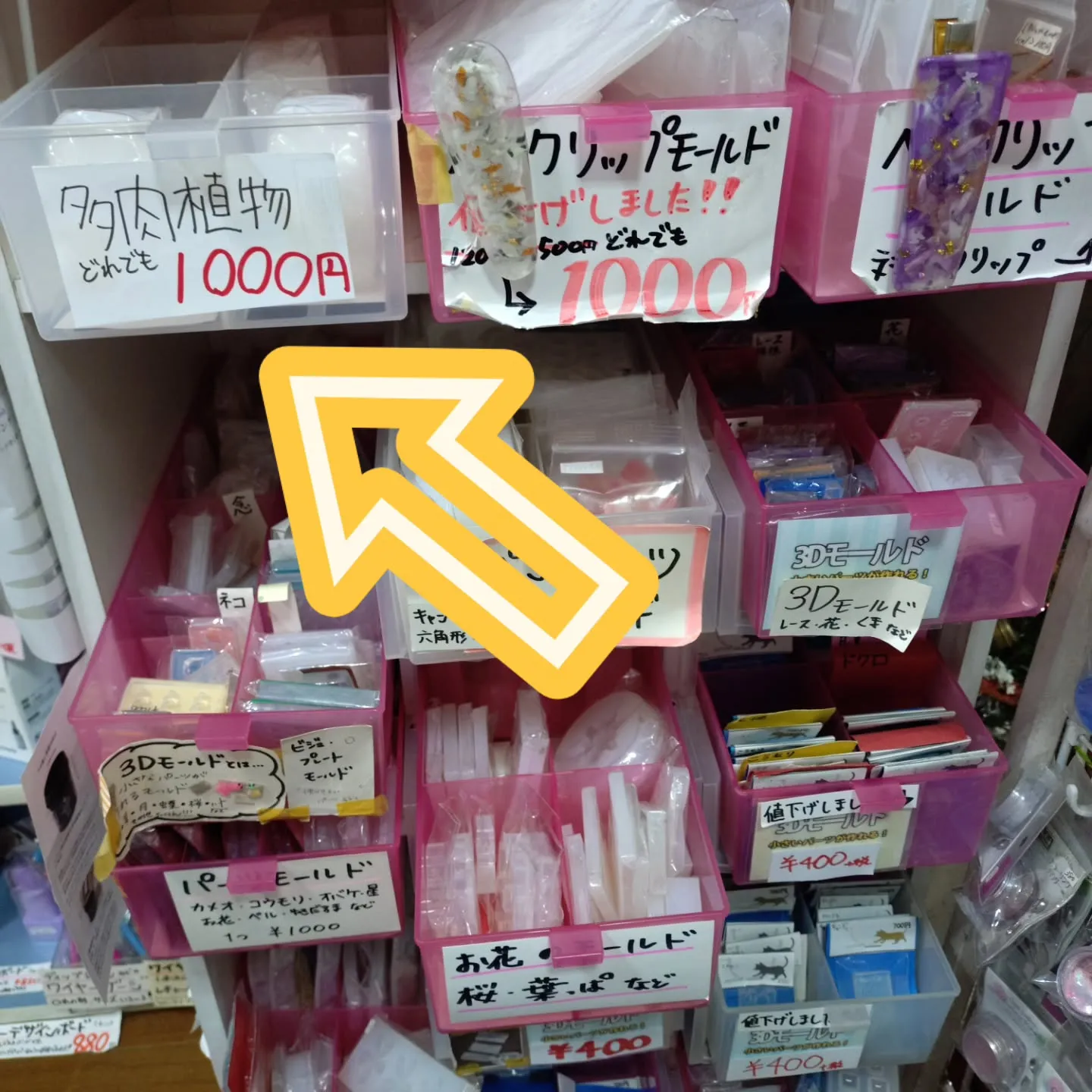 多肉植物のモールドを出しました！どれでも1000円！
